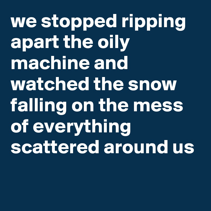 we stopped ripping apart the oily machine and watched the snow falling on the mess of everything scattered around us