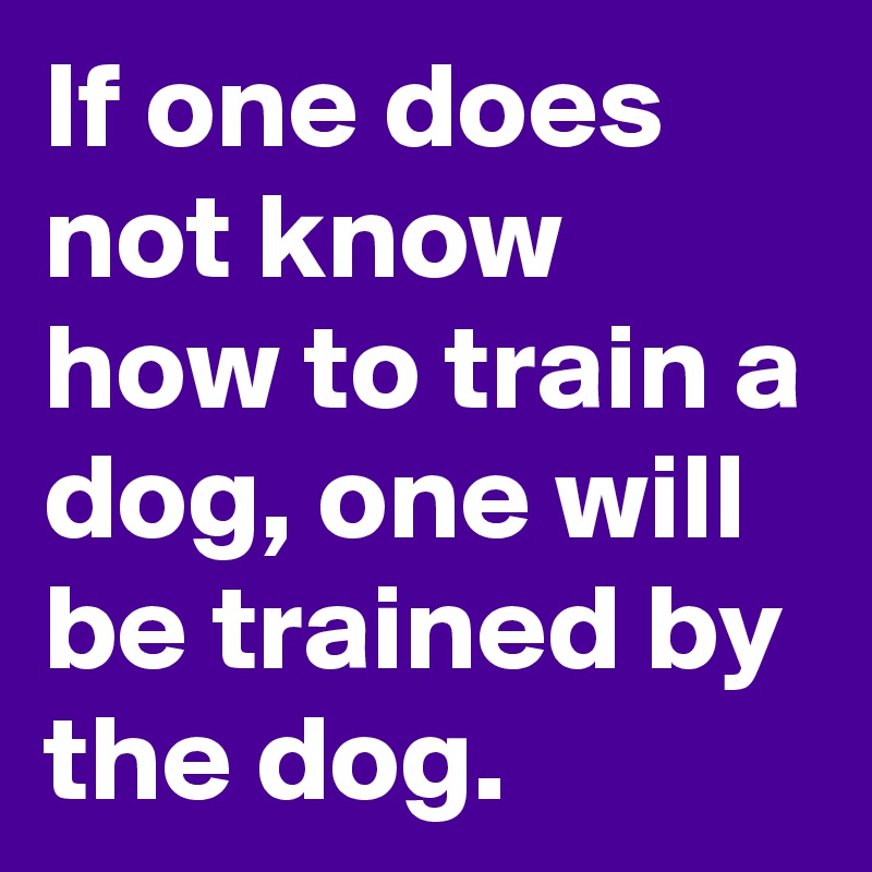 If one does not know how to train a dog, one will be trained by the dog. 