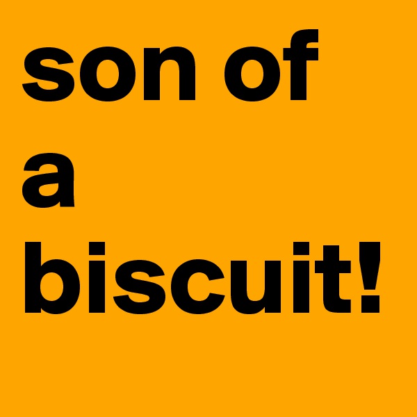 son of a biscuit!
