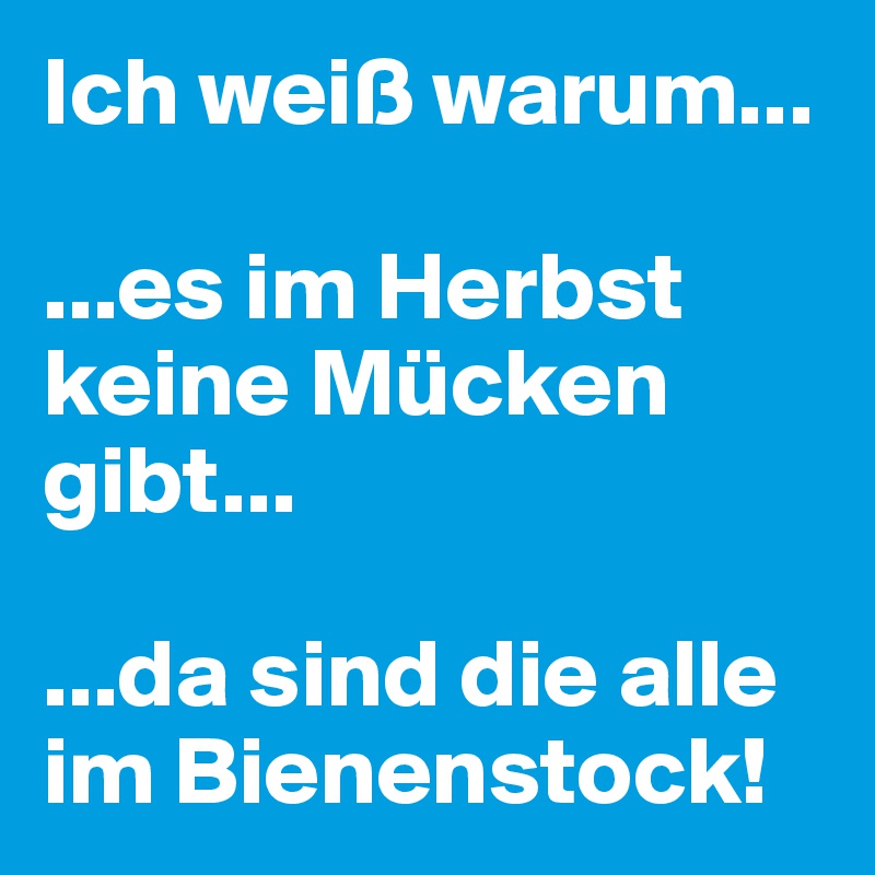 Ich weiß warum...

...es im Herbst keine Mücken gibt...

...da sind die alle im Bienenstock!