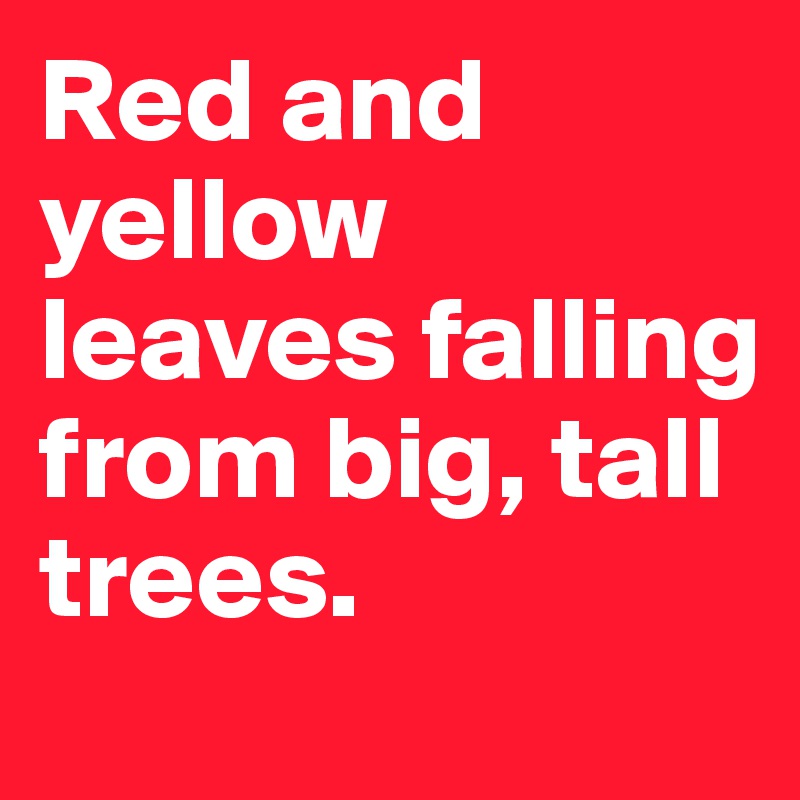 Red and yellow leaves falling from big, tall trees.