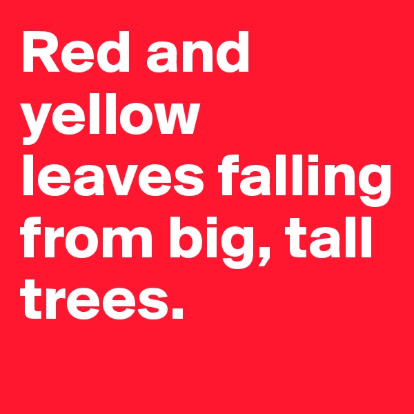 Red and yellow leaves falling from big, tall trees.