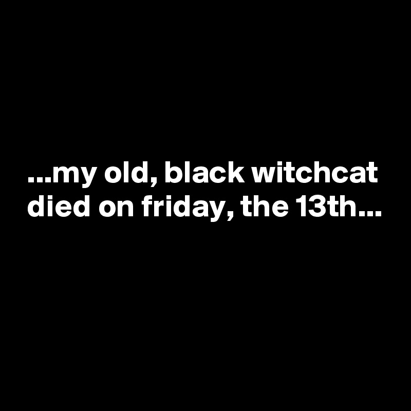 



 ...my old, black witchcat
 died on friday, the 13th...



