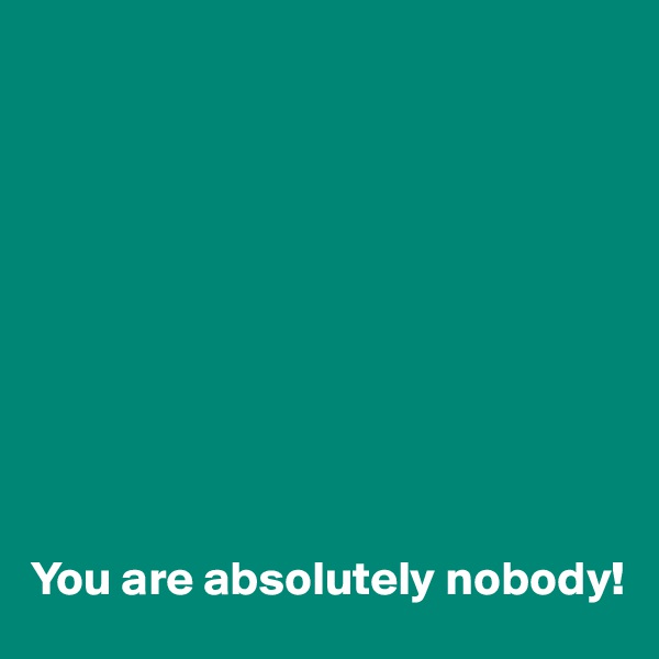 










You are absolutely nobody!