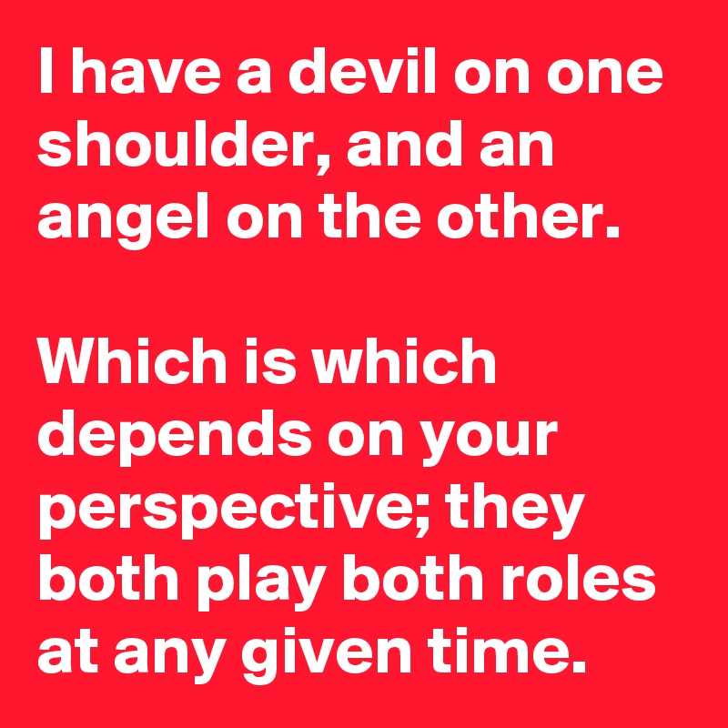 I have a devil on one shoulder, and an angel on the other.

Which is which depends on your perspective; they both play both roles at any given time.