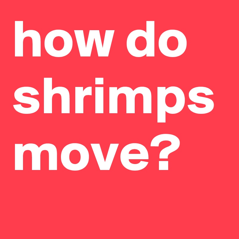 how do shrimps move?