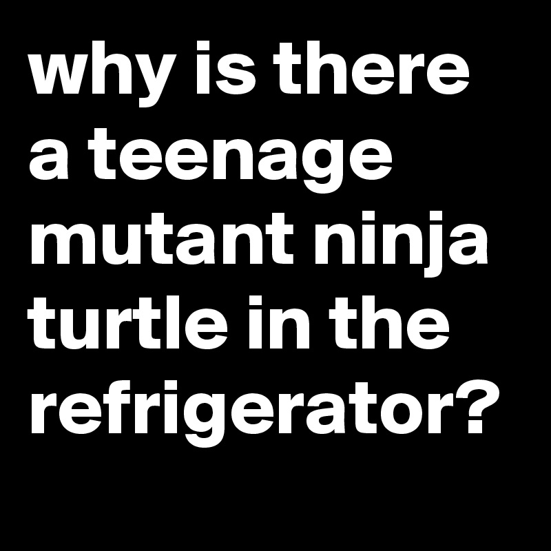 why is there a teenage mutant ninja turtle in the refrigerator?