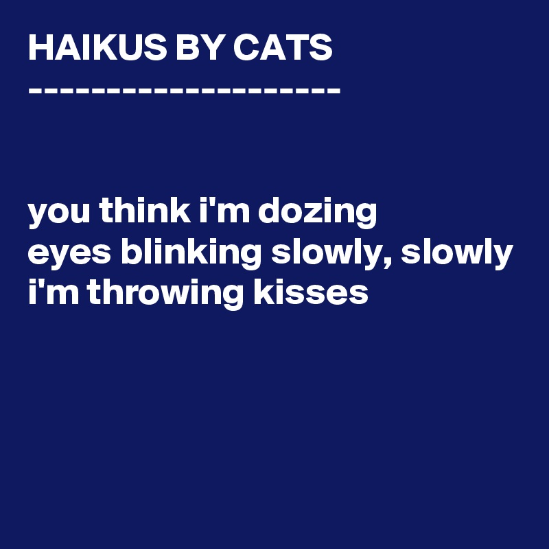 HAIKUS BY CATS
--------------------


you think i'm dozing
eyes blinking slowly, slowly
i'm throwing kisses




