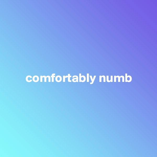 




       comfortably numb




