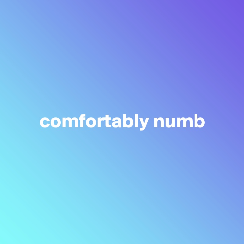 




       comfortably numb




