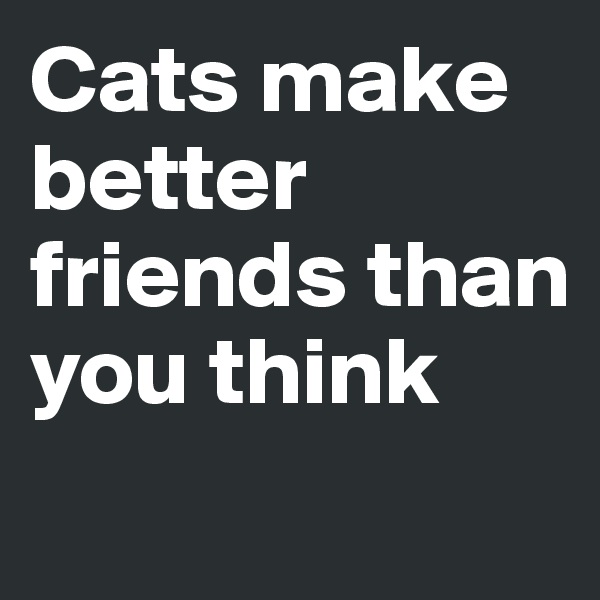 Cats make better friends than you think
