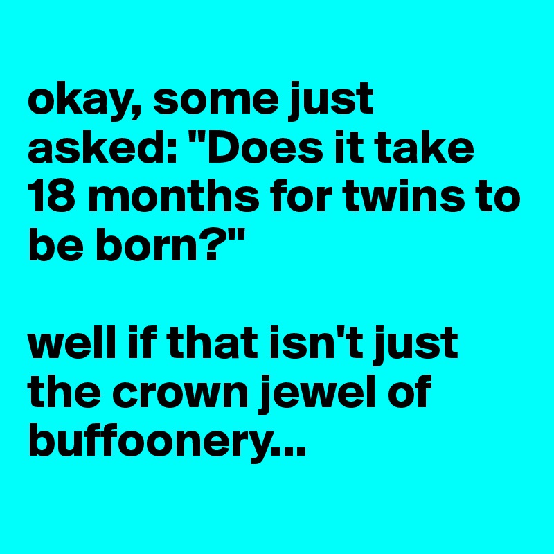 
okay, some just asked: "Does it take 18 months for twins to be born?"

well if that isn't just the crown jewel of buffoonery...
