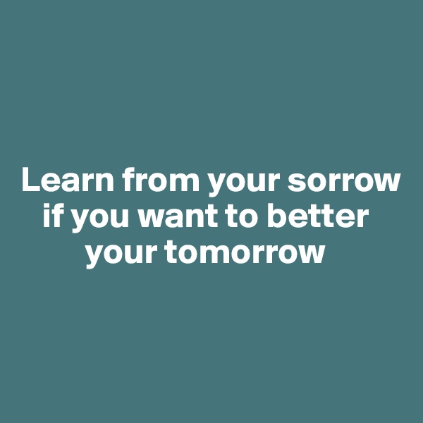 



Learn from your sorrow 
   if you want to better 
         your tomorrow


