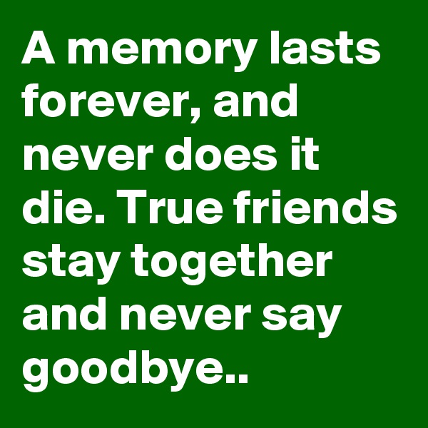 A memory lasts forever, and never does it die. True friends stay together and never say goodbye..