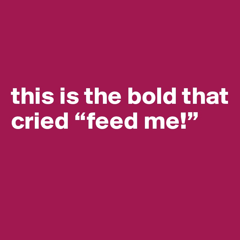 


this is the bold that cried “feed me!”



