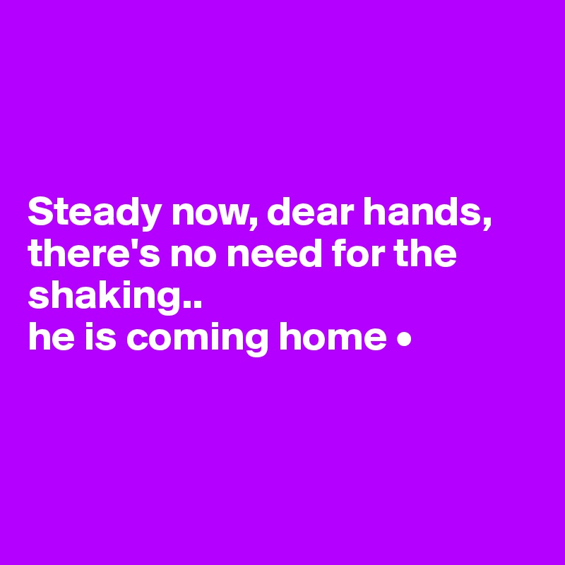 



Steady now, dear hands,
there's no need for the shaking..
he is coming home •



