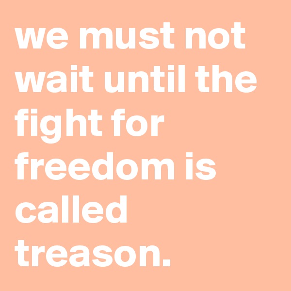 we must not wait until the fight for freedom is called treason.