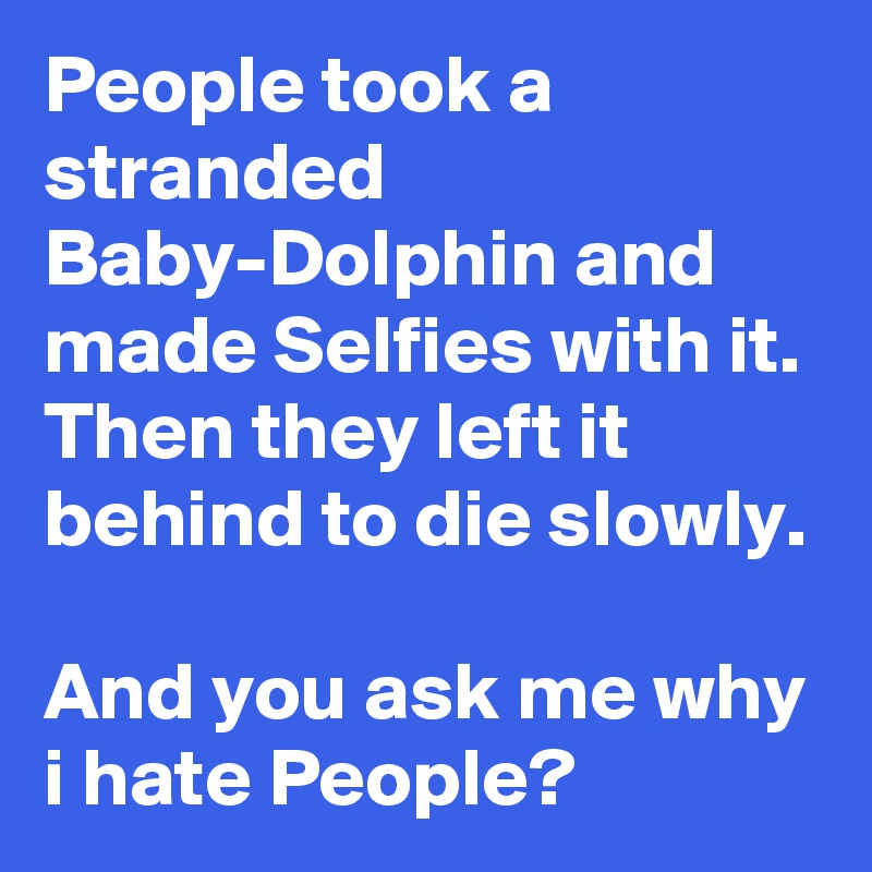 People took a stranded Baby-Dolphin and made Selfies with it. Then they left it behind to die slowly.

And you ask me why i hate People?