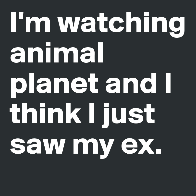 I'm watching animal planet and I think I just saw my ex.