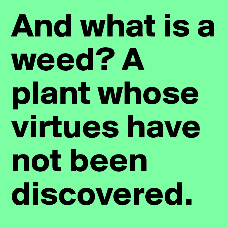 And what is a weed? A plant whose virtues have not been discovered.