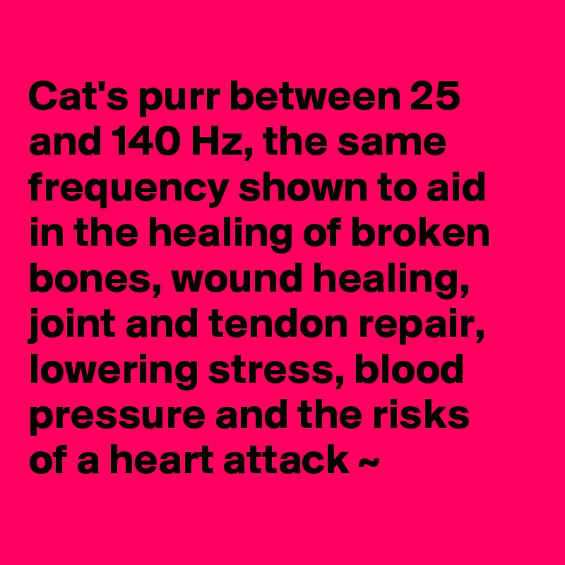 
Cat's purr between 25 and 140 Hz, the same frequency shown to aid in the healing of broken bones, wound healing, joint and tendon repair, lowering stress, blood pressure and the risks
of a heart attack ~
