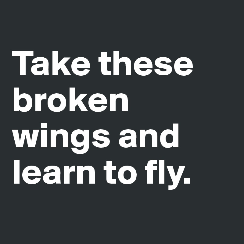 
Take these broken wings and learn to fly.
