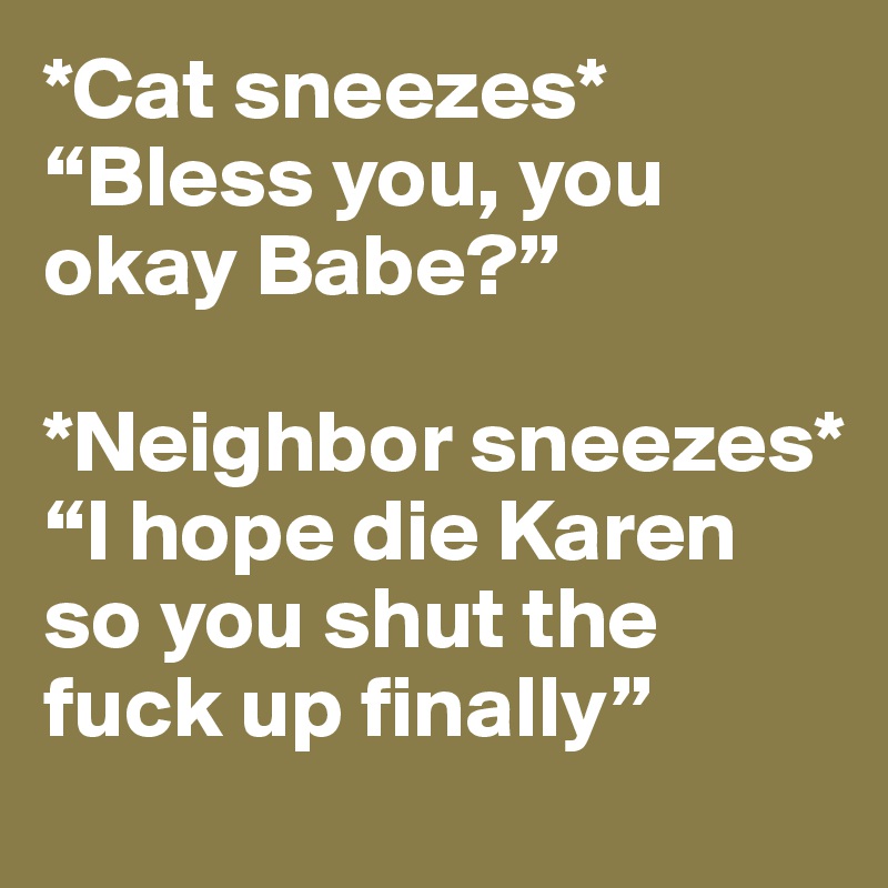 *Cat sneezes*
“Bless you, you okay Babe?”

*Neighbor sneezes*
“I hope die Karen so you shut the fuck up finally”