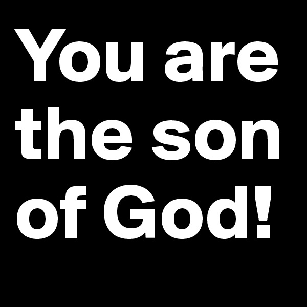 You are the son of God!