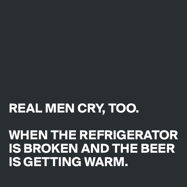 






REAL MEN CRY, TOO. 

WHEN THE REFRIGERATOR IS BROKEN AND THE BEER IS GETTING WARM.