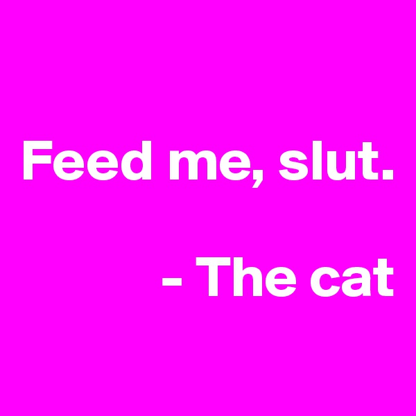 

Feed me, slut.

            - The cat
