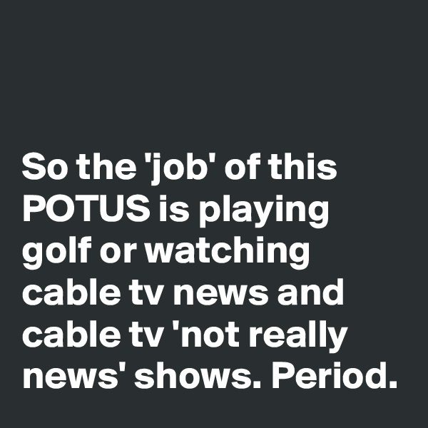 


So the 'job' of this POTUS is playing golf or watching cable tv news and cable tv 'not really news' shows. Period.