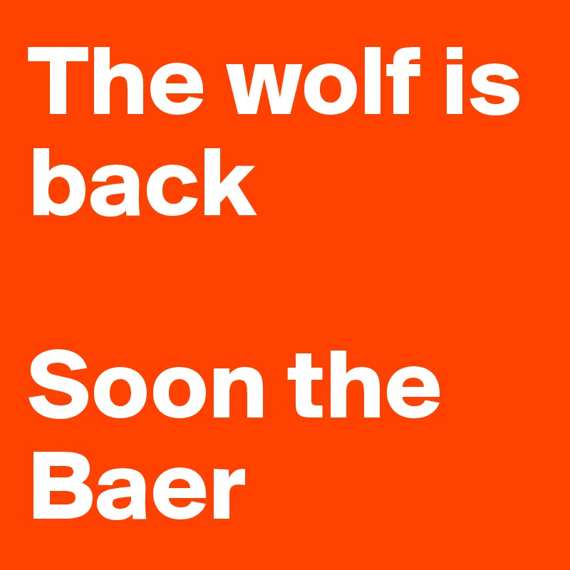 The wolf is back

Soon the Baer