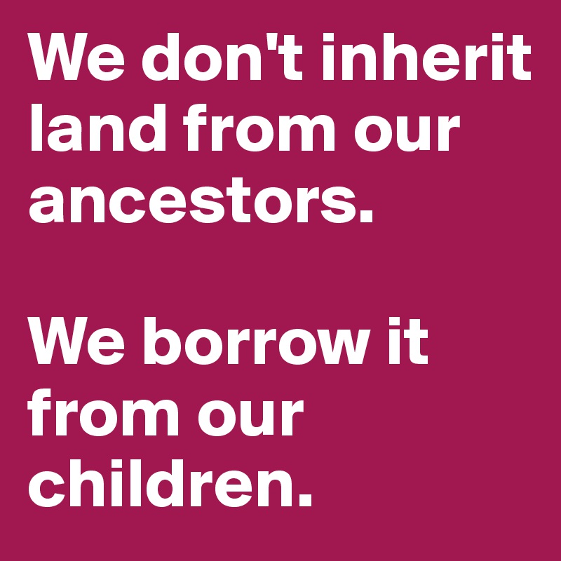 We don't inherit land from our ancestors. 

We borrow it from our children. 