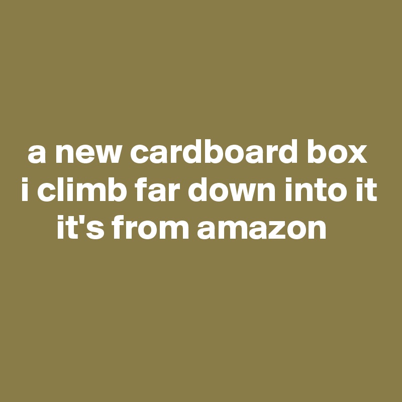 


 a new cardboard box
i climb far down into it
     it's from amazon


