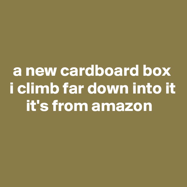 


 a new cardboard box
i climb far down into it
     it's from amazon


