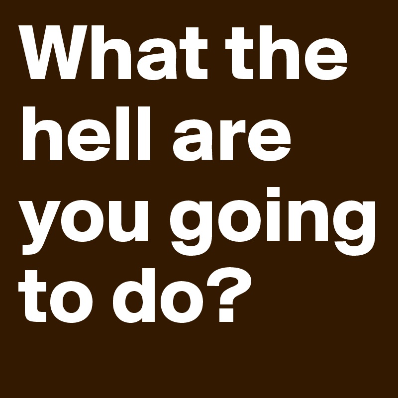 What the hell are you going to do?