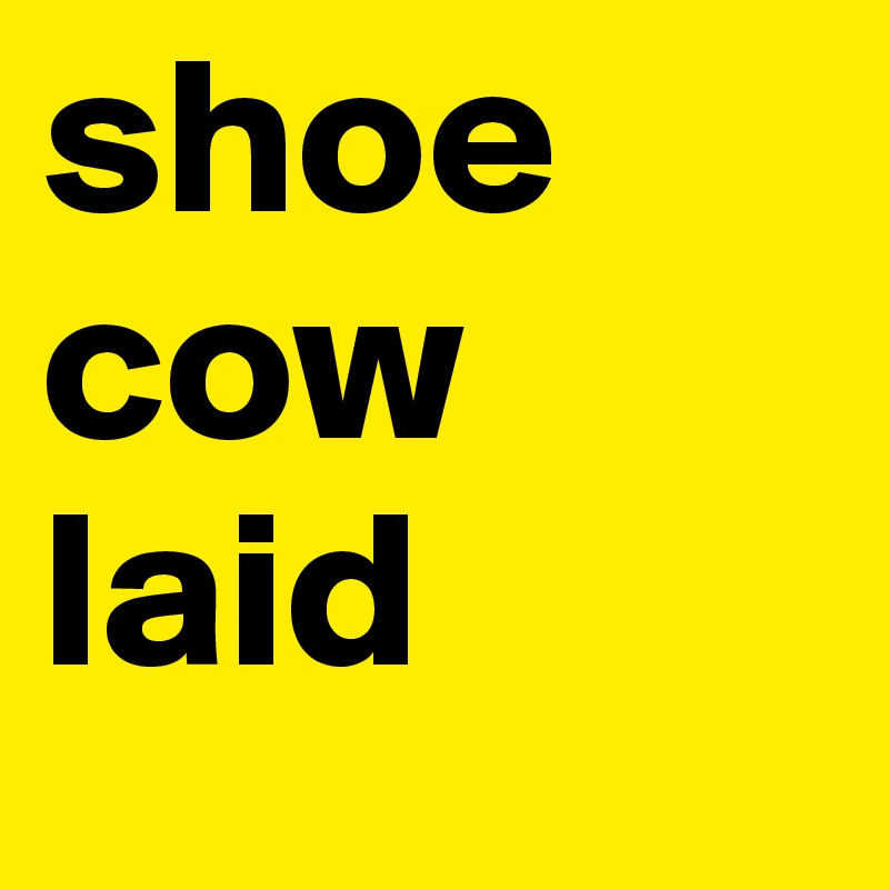 shoe
cow
laid