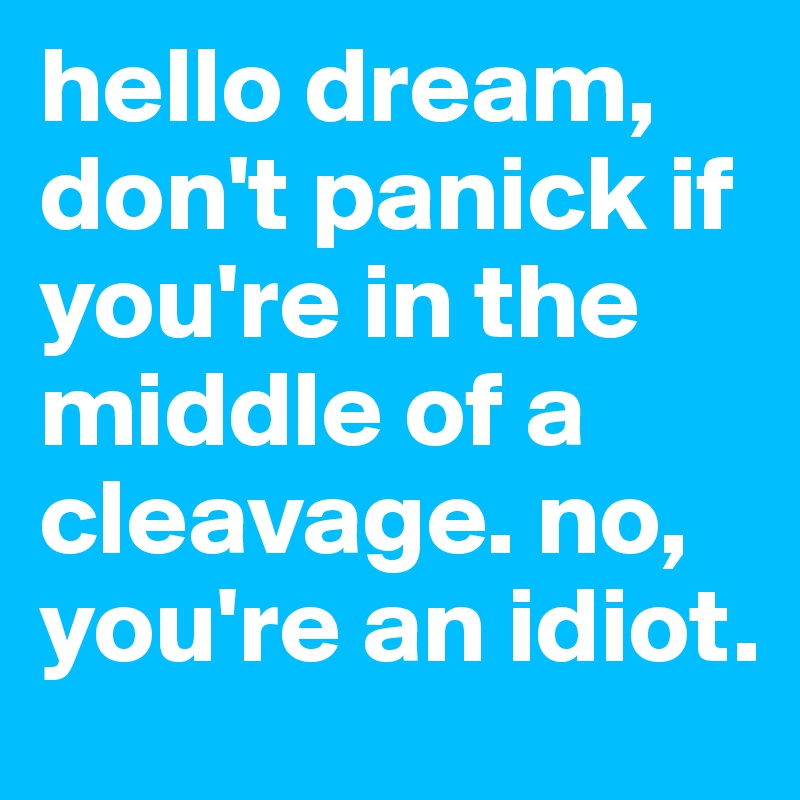 hello dream,
don't panick if you're in the middle of a cleavage. no, you're an idiot.