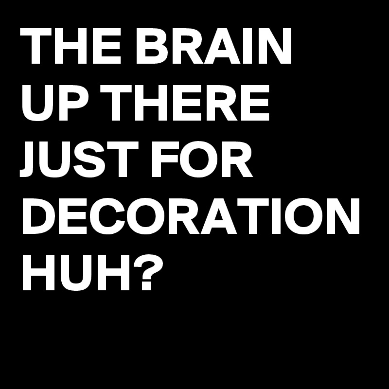 THE BRAIN UP THERE JUST FOR DECORATION HUH?
