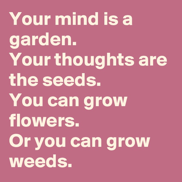 Your mind is a garden.
Your thoughts are the seeds.
You can grow flowers.
Or you can grow weeds.