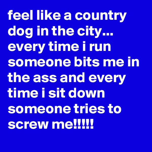 feel like a country dog in the city... every time i run someone bits me in the ass and every time i sit down someone tries to screw me!!!!!