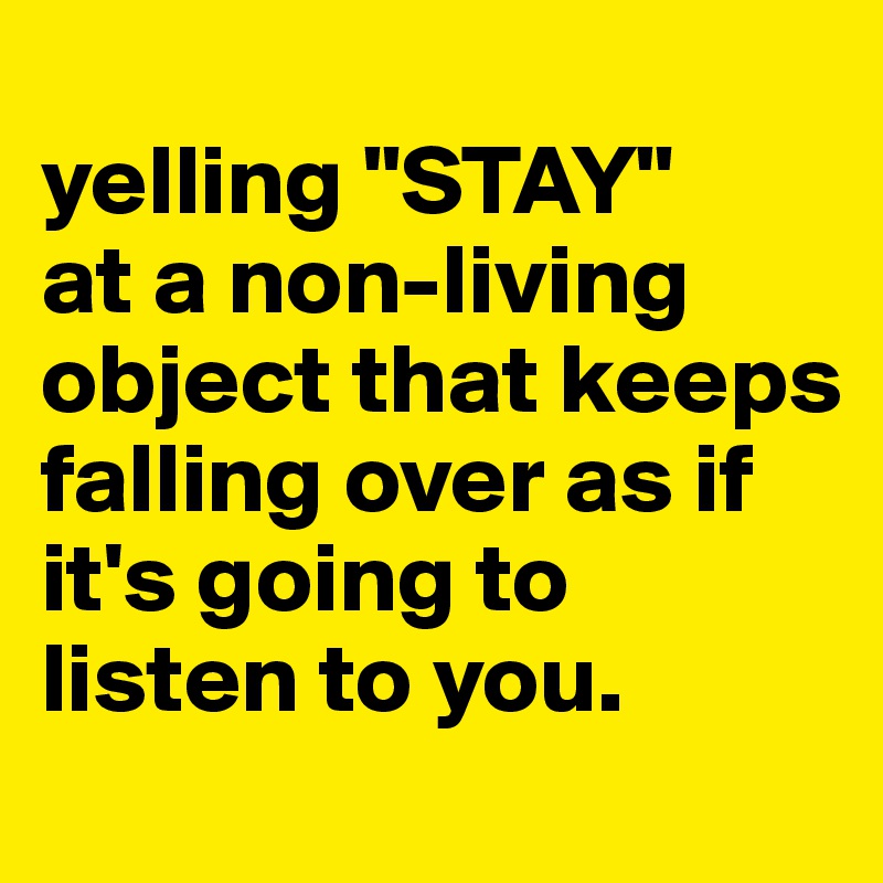 
yelling "STAY" 
at a non-living object that keeps falling over as if it's going to listen to you.