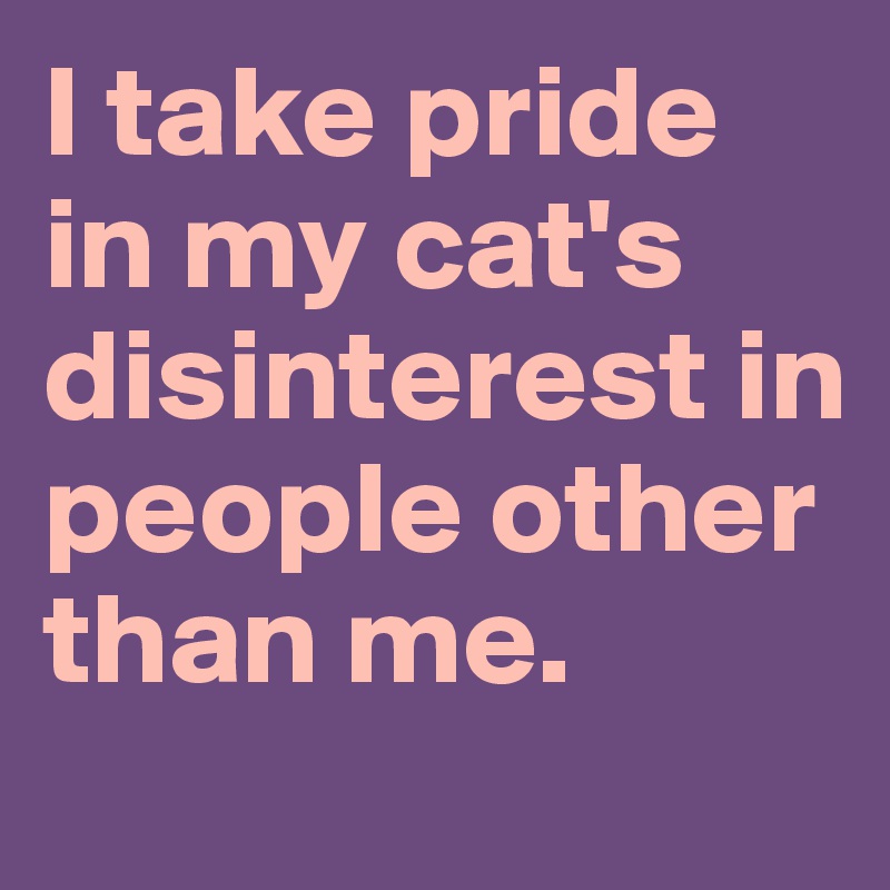 I take pride in my cat's disinterest in people other than me.