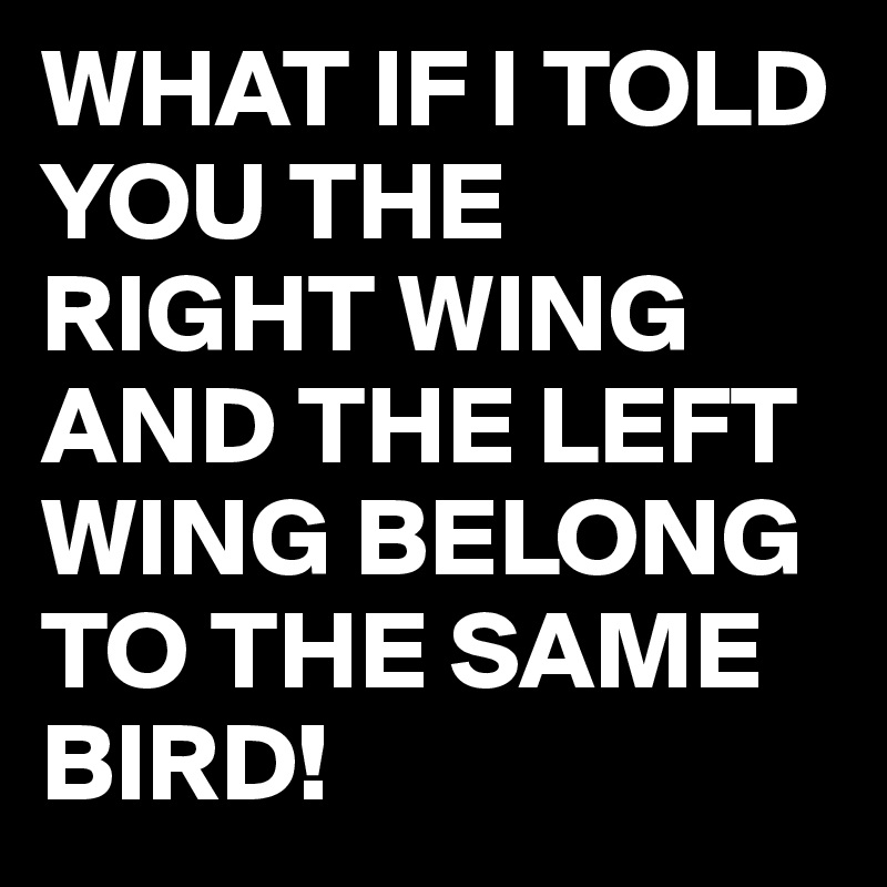 WHAT IF I TOLD YOU THE RIGHT WING AND THE LEFT WING BELONG TO THE SAME BIRD!