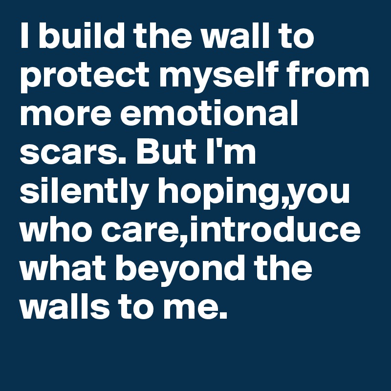 I build the wall to protect myself from more emotional scars. But I'm silently hoping,you who care,introduce what beyond the walls to me.