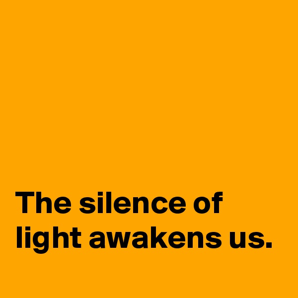 




The silence of light awakens us.