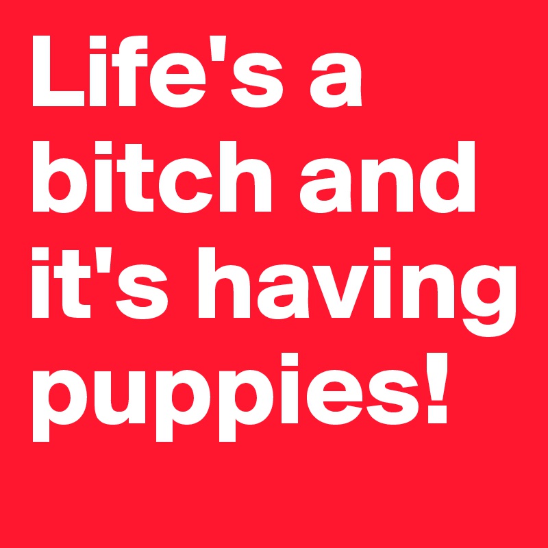 Life's a bitch and it's having puppies!