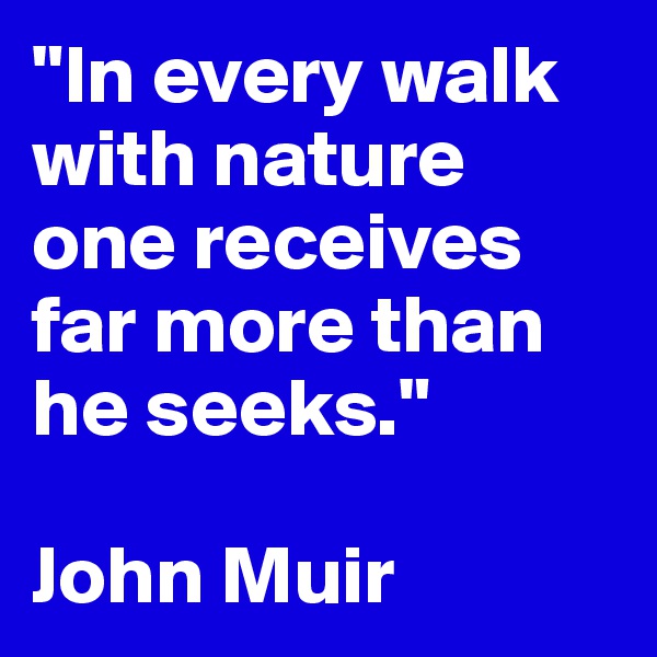 "In every walk with nature one receives far more than he seeks."

John Muir