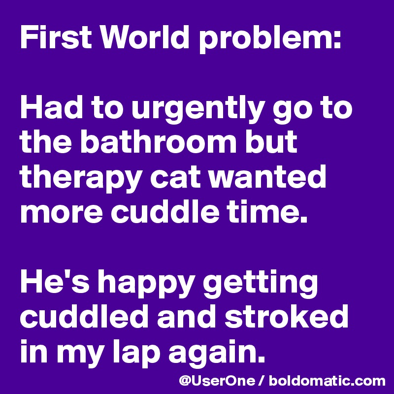 First World problem:

Had to urgently go to the bathroom but therapy cat wanted more cuddle time.

He's happy getting cuddled and stroked
in my lap again. 