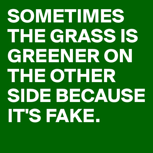 SOMETIMES THE GRASS IS GREENER ON THE OTHER SIDE BECAUSE IT'S FAKE.